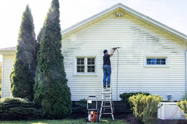 Best Pressure Washing Brick  in Richton, MS