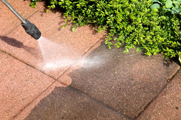 Best Local Pressure Washing Services  in Richton, MS